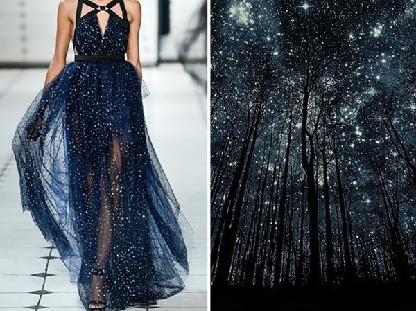 Mẫu đầm của thương hiệu Jason Wu Xuân Hè 2013/ Cảnh rừng đầy sao 