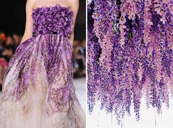 Mẫu đầm sắc tím trắng của thương hiệu Giambattista Valli trong mùa Thu Đông 2014/ Hoa tử đằng nổi tiếng của Nhật Bản 