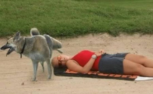 Khoảnh khắc cực khó đỡ của cô gái chìm vào giấc ngủ và chú chó