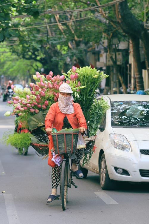 Sen theo chân người bán hàng rong lên phố.