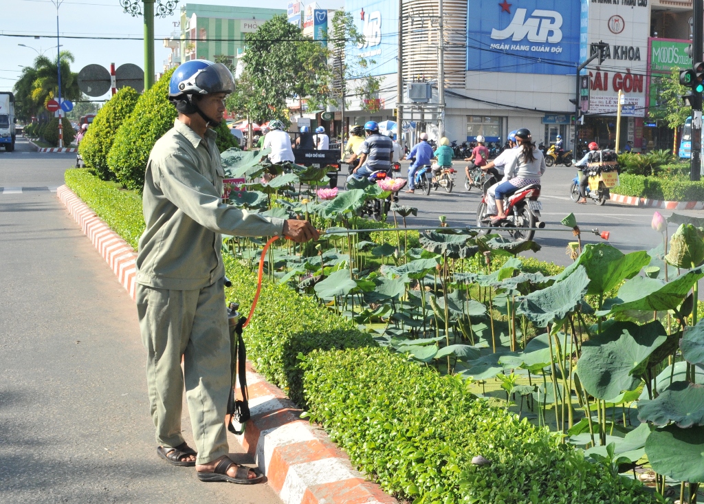 Vận động nhân dân cùng chăm sóc, giữ gìn hoa sen trên phố.