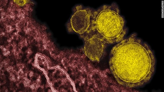 Dịch MERS-CoV, ca bệnh đầu tiên sẽ ở đâu?