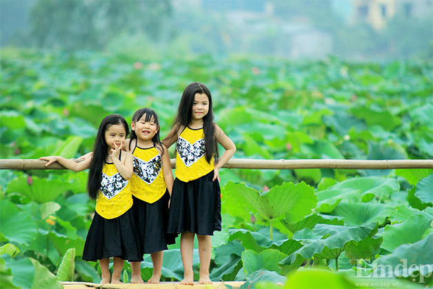 Những ngày này, trên khắp các đầm sen, không khó để bắt gặp hình ảnh các em nhỏ mặc áo yếm, váy đụp tạo dáng chụp ảnh bên hoa sen.