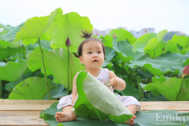 Vẻ đẹp trong trẻo theo đúng nghĩa.