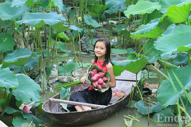 Tận dụng các