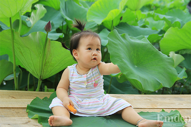 Bắt đầu thích thú khi làm quen được với môi trường xung quanh.