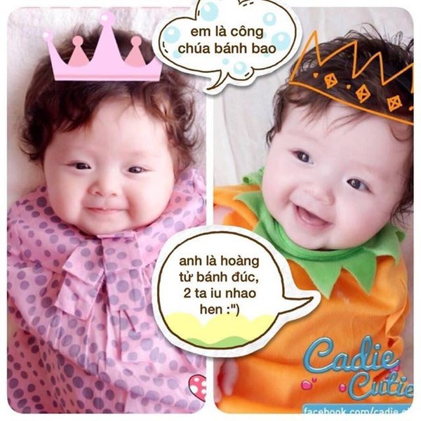 Thậm chí fan còn thường xuyên lấy ảnh Cadie để thực hiện các đoạn hội thoại gây cười