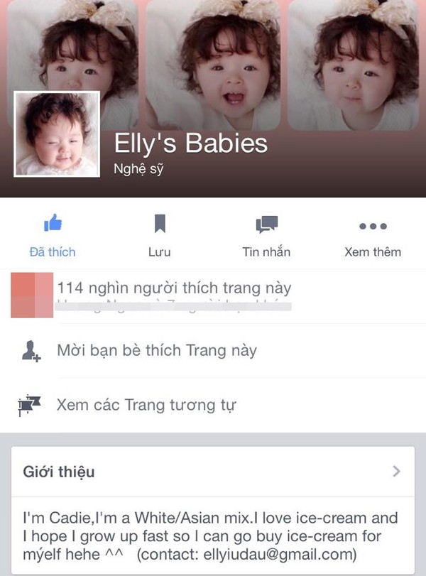 Trang fanpage hàng trăm nghìn người theo dõi

