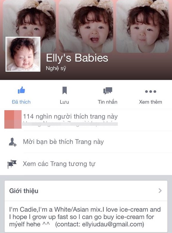 Trang fanpage hàng trăm nghìn người theo dõi