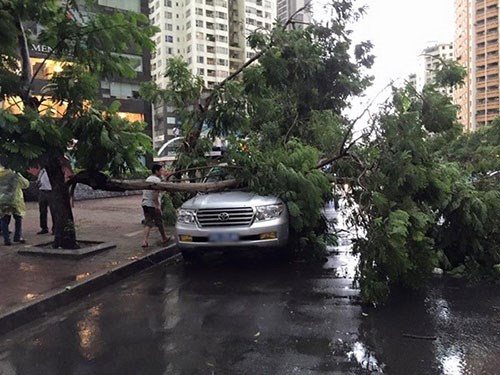Hai người chết, hơn 10 người nhập viện vì giông lớn
