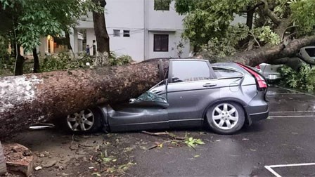 Nhìn lại trận siêu giông quần nát Hà Nội