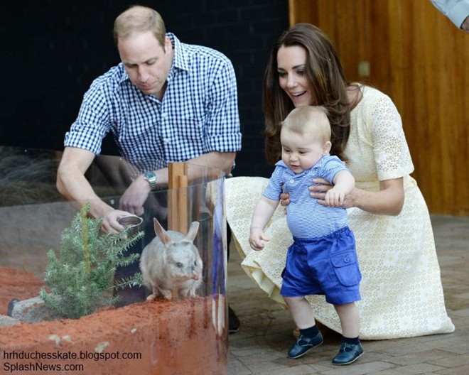 Đôi giày màu đen đáng yêu thường xuyên được kết hợp trong những set đồ khác nhau của hoàng tử bé. Trong ảnh: George mặc áo họa tiết kẻ ngang màu xanh (giá 69 USD) và quần shorts (giá 89 USD) đều của nhãn hiệu Rachel Riley. Ảnh: SplashNews. 