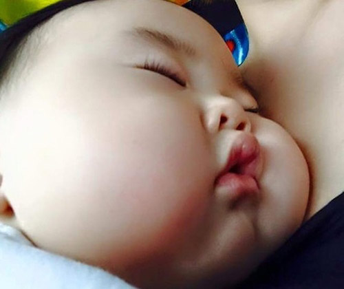 Nhiều ý kiến còn thích thú cho rằng, gương mặt bánh bao của cậu bé là
