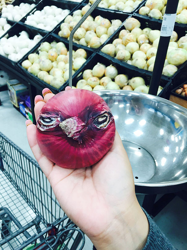 Hành tây trông giống như những chú chim Angry bird