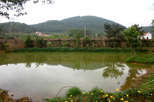 Hệ thống ao cá nhìn ra xung quanh là núi non. 