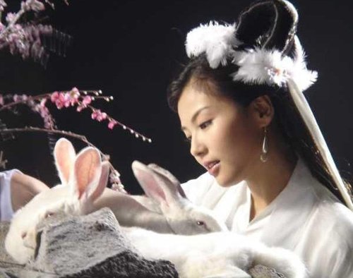 Dù chỉ là một vai diễn nhỏ song nàng Hằng Nga do Lưu Đào thủ vai trong Bảng Phong Thần lại khiến người xem ấn tượng