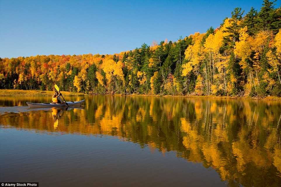 Hàng cây ở đảo Prince Edward soi bóng dưới dòng sông Bonshaw, Canada.