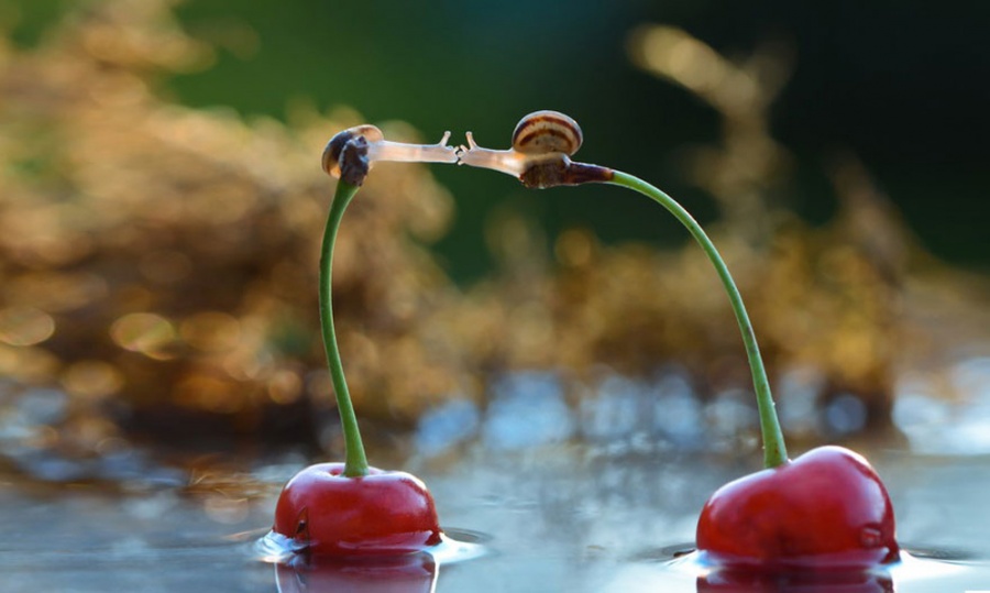 Những khoảnh khắc tuyệt đẹp và tràn ngập hạnh phúc....