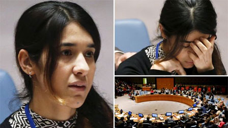 Nóng: Nobel Y sinh 2024 vinh danh người khám phá ra microRNA-2