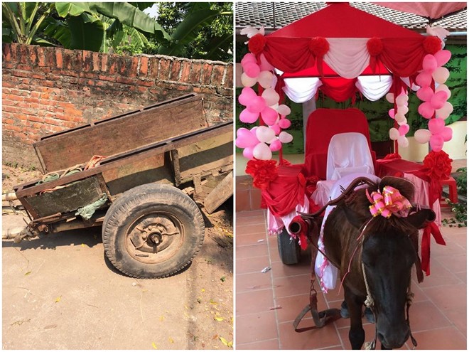 Xe ngựa do chính chú rể Quang Hội lên ý tưởng và thiết kế. Ảnh: NVCC.