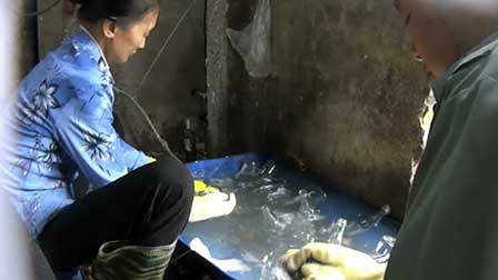 Sự thật loại rượu linh vật sang chảnh dán tem mác nước ngoài-1