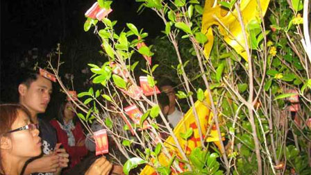 Hái lộc Giao thừa và đầu xuân thế nào cho đúng để rước tài lộc về nhà?-2