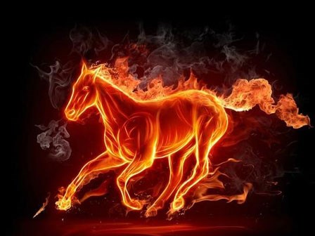 Người tuổi Ngọ và tính 