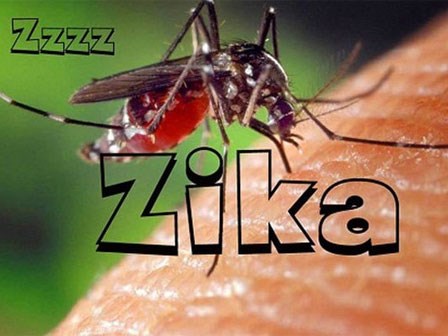 Cách phát hiện và điều trị khi bị nhiễm virus Zika