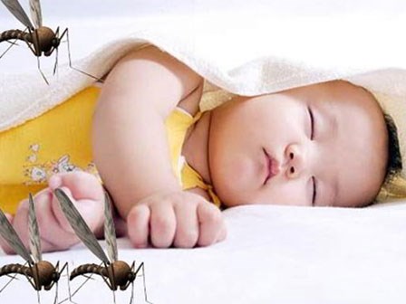 Cách đuổi muỗi hiệu quả nhất để phòng chống dịch Zika