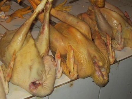 Phụ nữ rụng tóc, mọc râu khi bị ngộ độc thức ăn có chất cấm