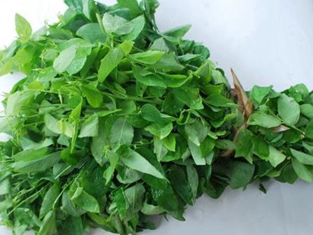 Tác dụng phụ đáng sợ của rau ngót cần phải biết trước khi ăn