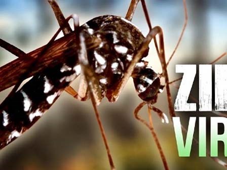 Bà bầu nhiễm virus Zika tại TP. HCM đã chấm dứt thai kỳ