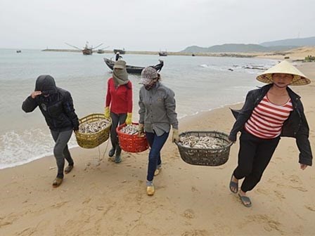 Nước biển tại 4 tỉnh miền Trung đạt tiêu chuẩn