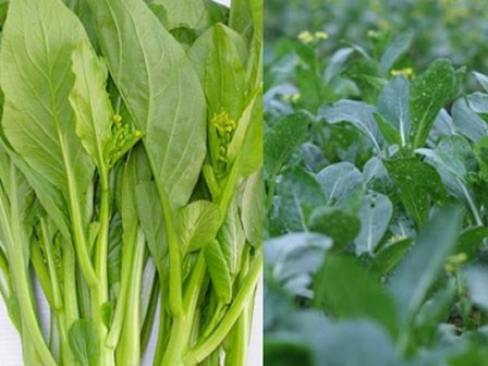 Những loại rau củ mùa hè “tắm” nhiều hóa chất nhất chợ
