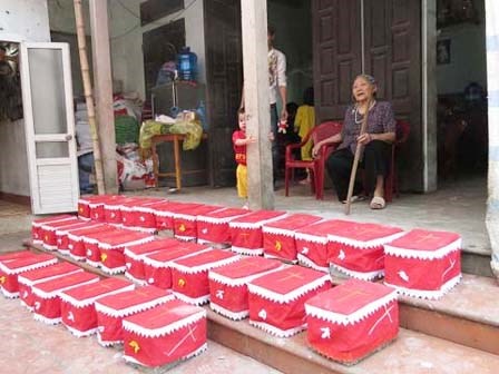 Hình ảnh gây 