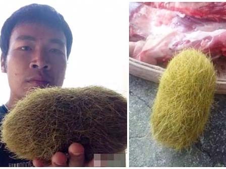 2 'quả trứng vàng' đồn giá hàng chục tỷ đồng: 'Khả năng là nhân tạo'