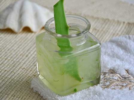 Hướng dẫn tự làm gel nha đam dưỡng da, trị mụn siêu dễ tại nhà