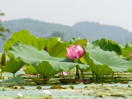 Khám phá vịnh Hạ Long ngay trong lòng Hà Nội