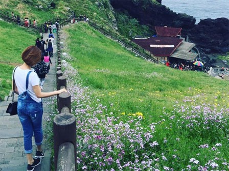 Kinh nghiệm du lịch đến Seoul, Jeju 8 ngày hết 18 triệu của 9x
