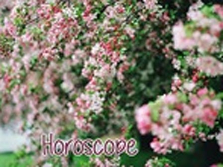 Horoscope ngày thứ Hai (16/5): Bảo Bình đừng quá cố chấp