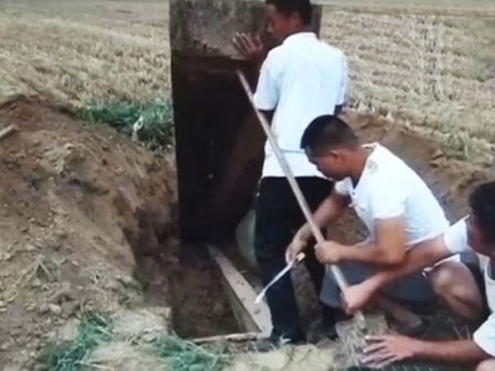 Đổ xô săn lùng 