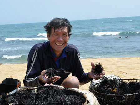 Thứ hải sản gai góc rợn người nhưng lại được xem là nhân sâm biển-3