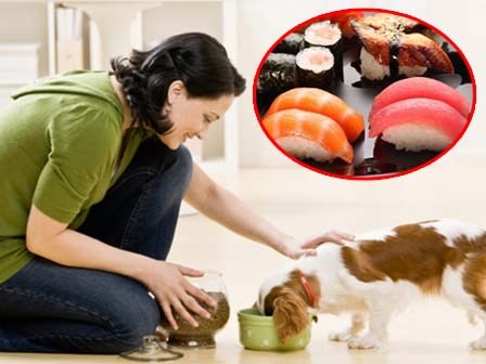 Ngã ngữa vì món ăn siêu đắt đỏ này thực chất từng là thức ăn .... cho chó mèo