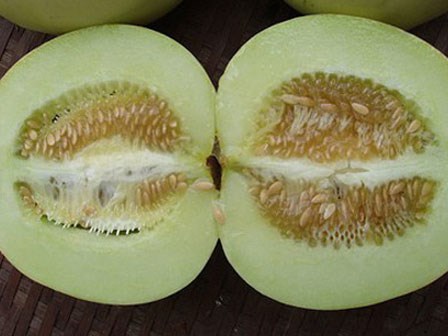 Thực hư chuyện dưa lê ruột đỏ do tiêm thuốc siêu ngọt?