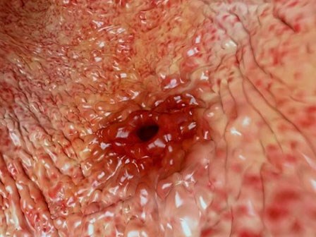 Sự thật đằng sau 3 loại đồ uống bán chạy nhất ngày nóng