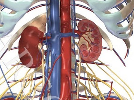 Cảnh báo nguy cơ mắc bệnh thận và đột quỵ từ mỳ ăn liền