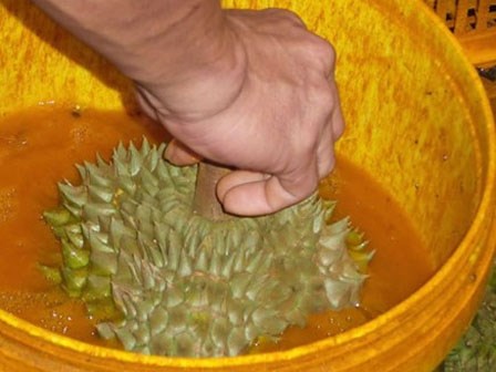 Công nghệ 