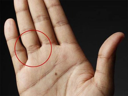 Nhìn bàn tay nhận biết 