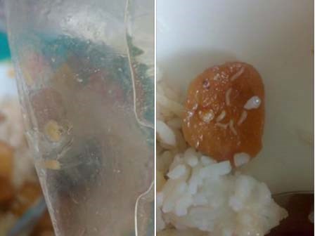 Rùng mình: dòi bò lúc nhúc trong cơm sinh viên ở Ký túc xá ĐH Quốc gia TP.HCM