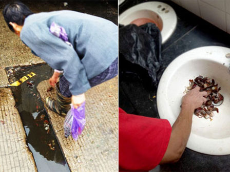 Hãi hùng bể phốt lộ thiên tra tấn người dân Hà Nội suốt hàng chục năm-17